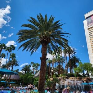 All Offers Welcome... I'm Negotiable !